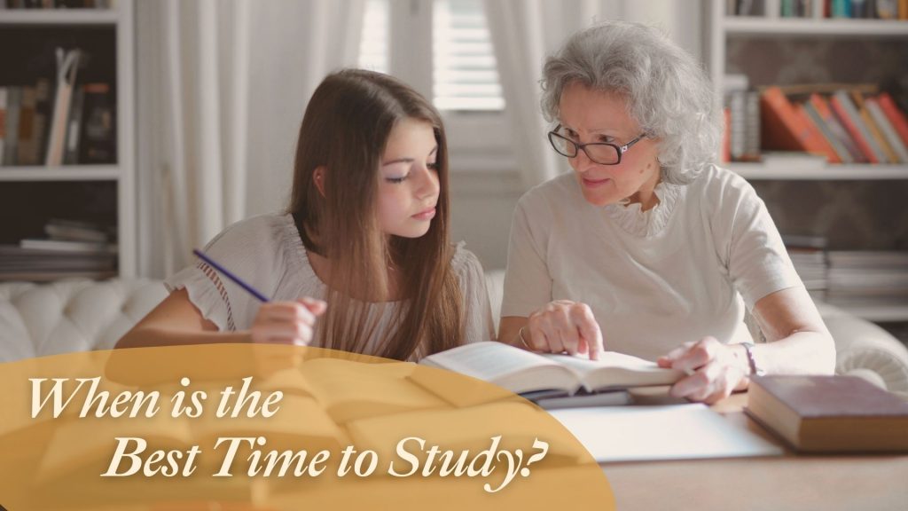 When Is The Best Time To Study? Useful Guide For Students