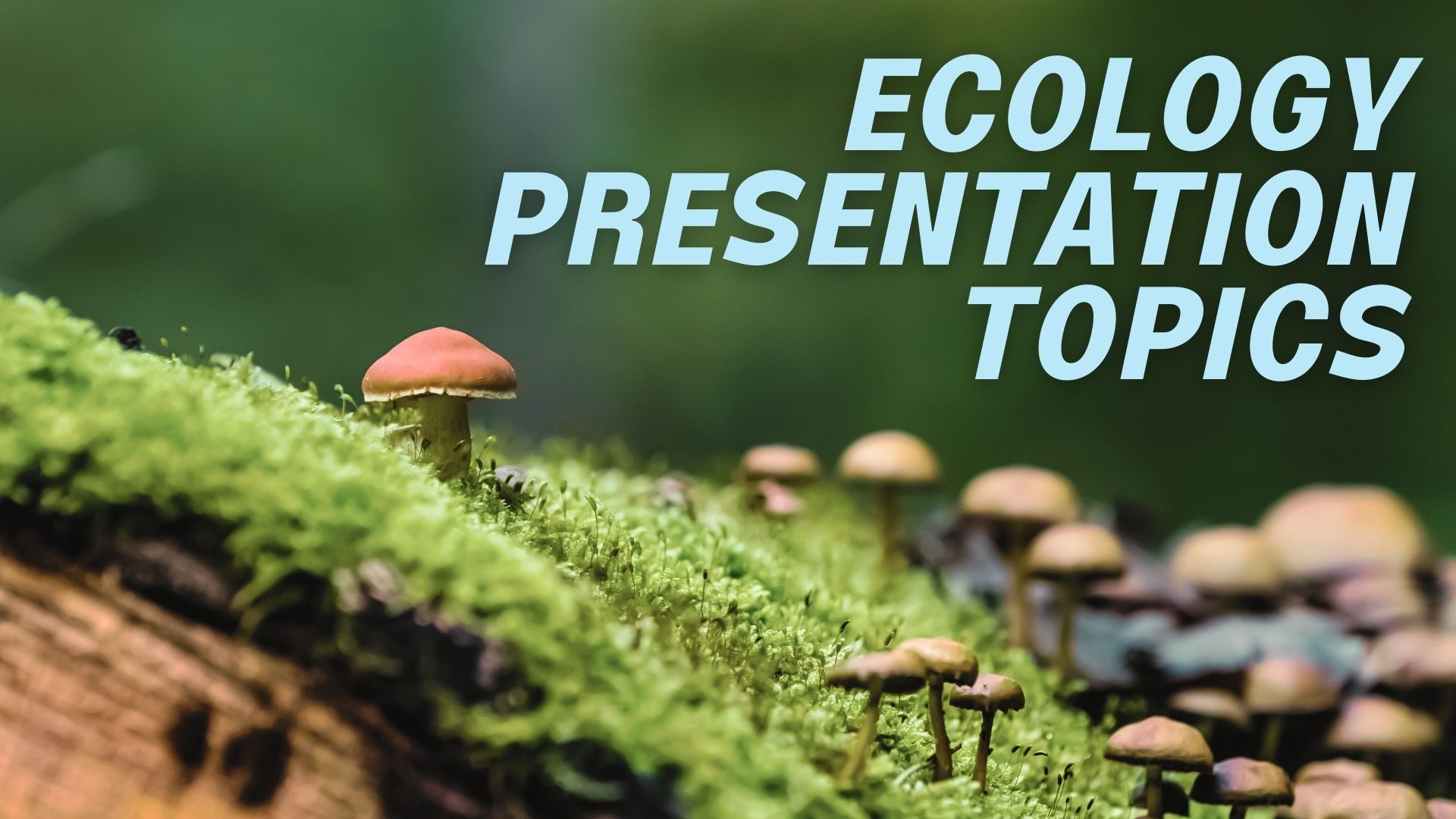 ecology presentation topics