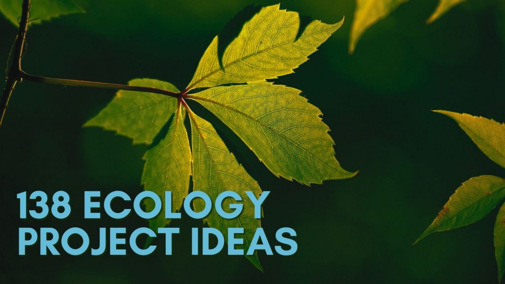 ecological research project ideas