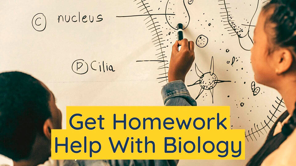 do my biology homework