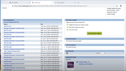 webassign timed assignment